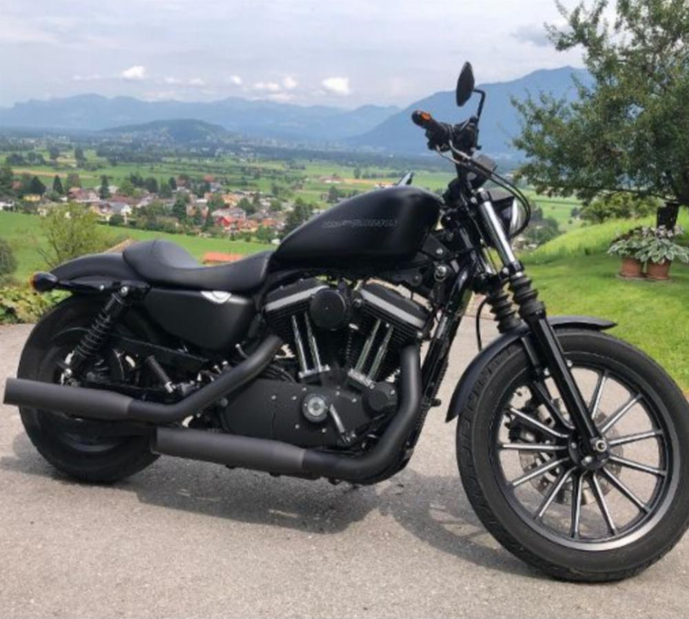 Motorrad verkaufen Harley-Davidson Xl-883 n sportster Ankauf